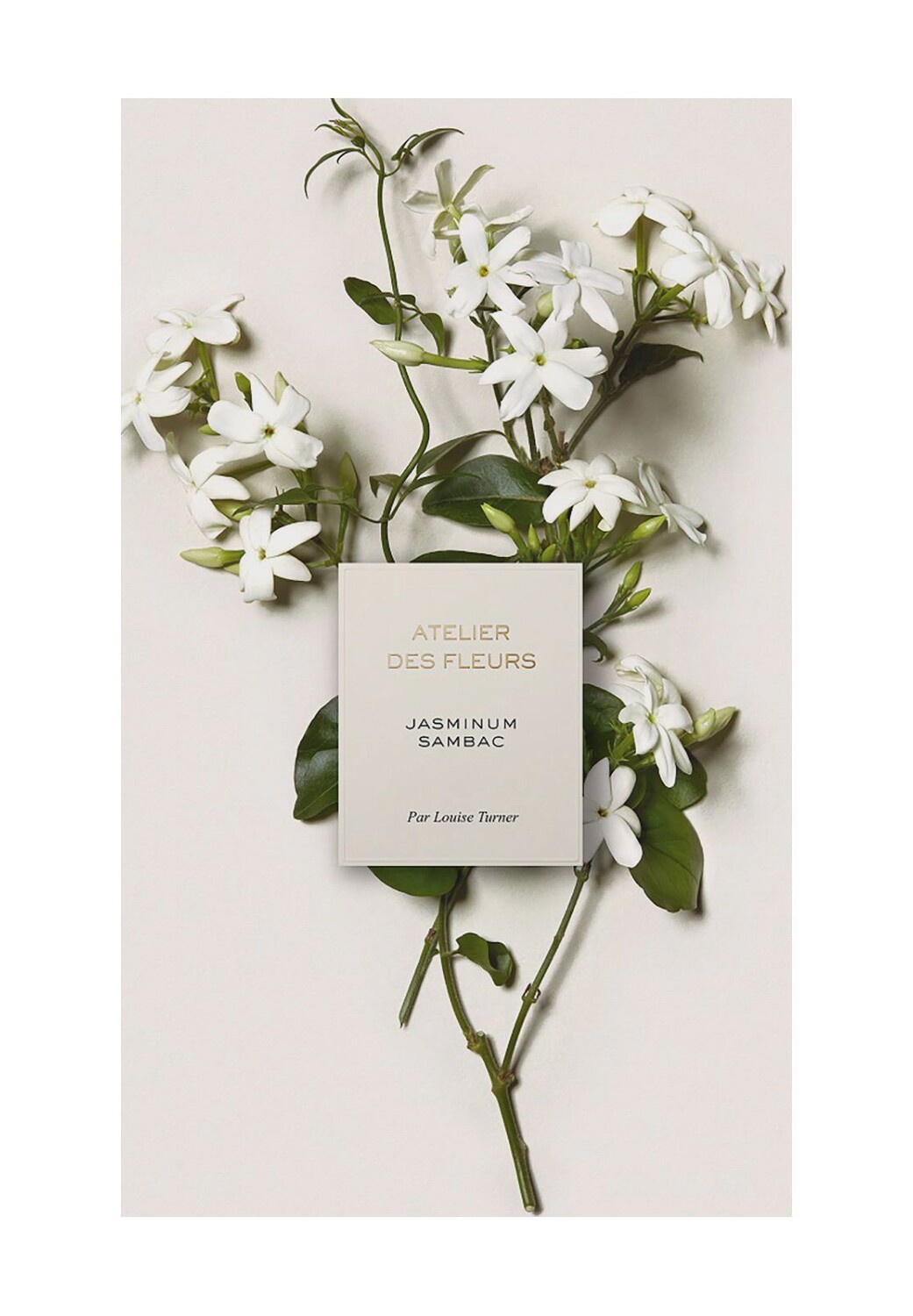 Парфюмированная вода Chloé Atelier des Fleurs Jasminum Sambac — фото 4