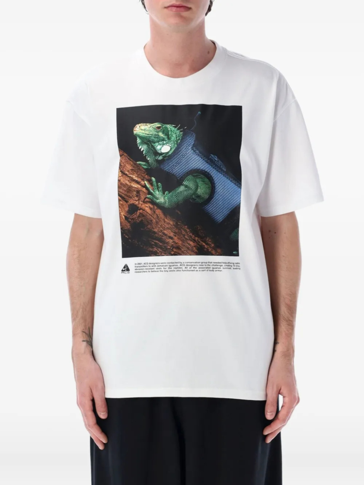 

Nike футболка ACG Iguana, белый
