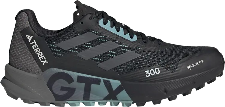 

Кроссовки Wmns Terrex Agravic Flow 2.0 GORE-TEX 'Black Light Blue', черный