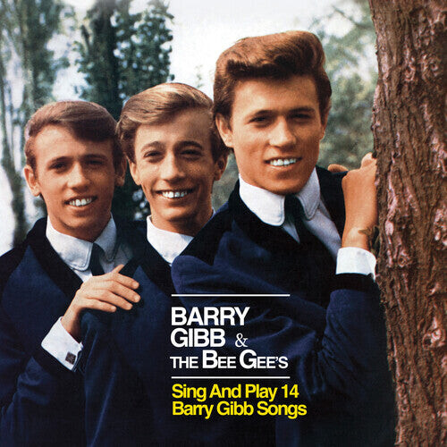

CD диск Bee Gees: Barry Gibb & The Bee Gees Sing & Play 14 Barry Gibb Songs