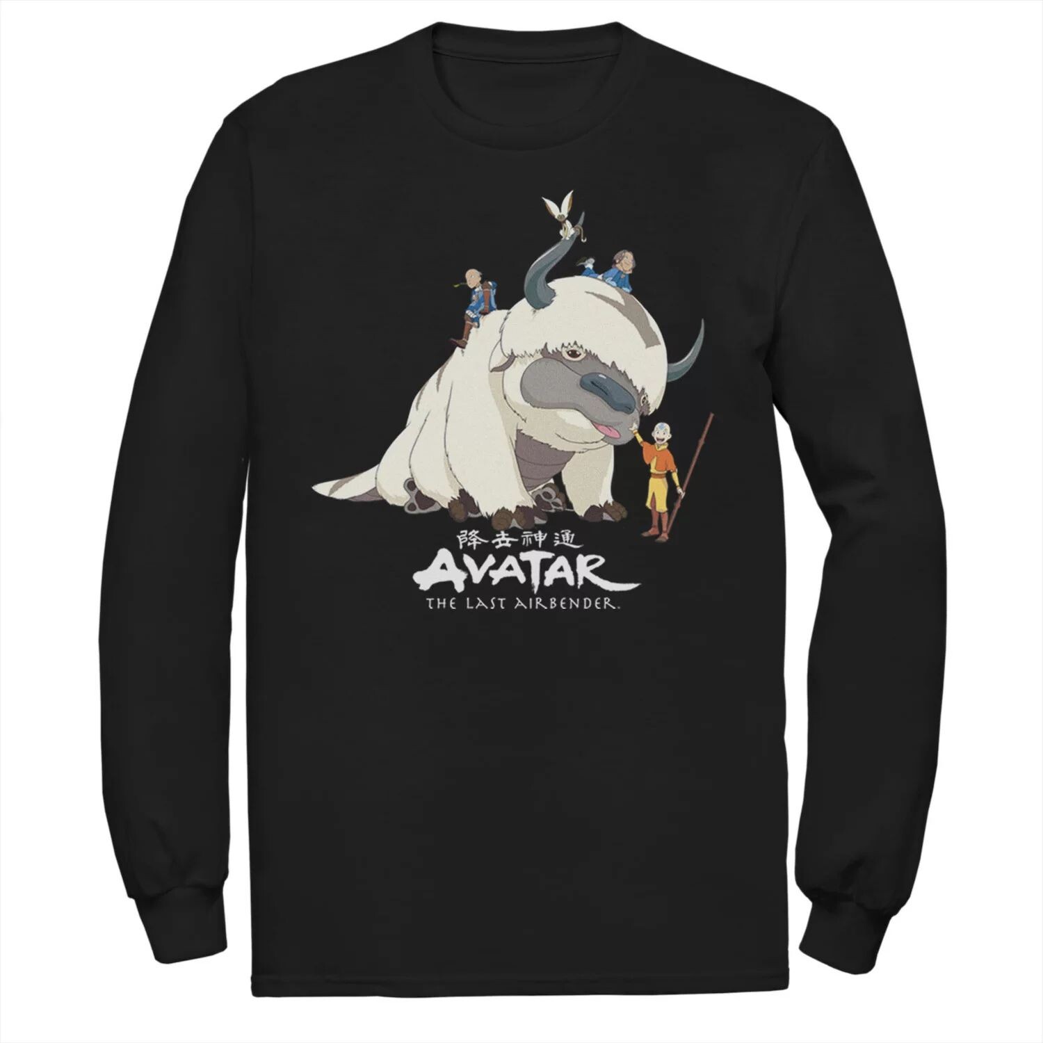 

Мужская футболка Avatar: The Last Airbender Appa Ride Group Shot Licensed Character