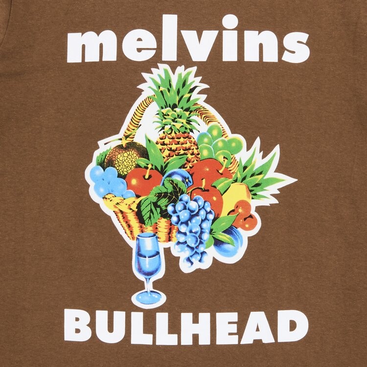 Футболка Supreme x Melvins Bullhead Tee, коричневый — фото 3