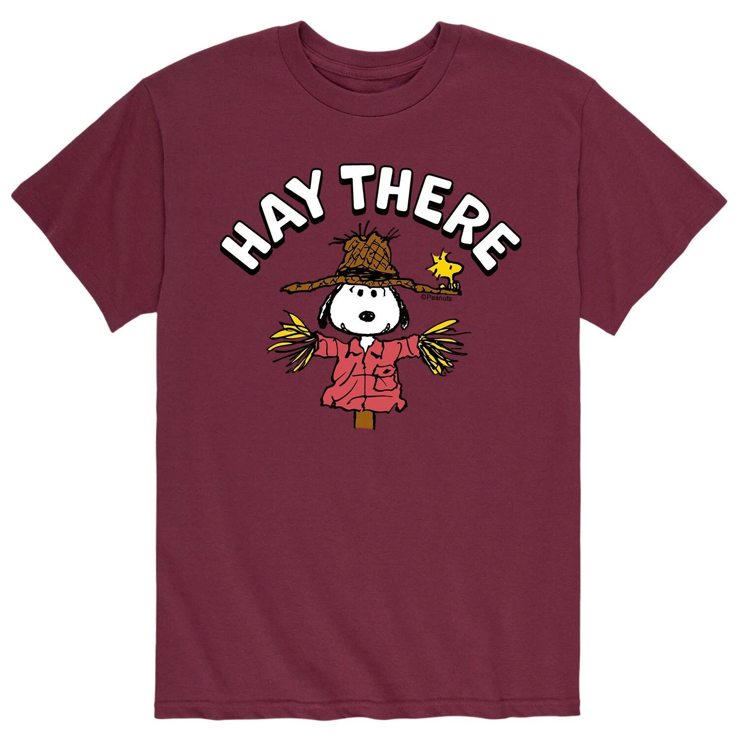 

Мужская футболка Peanuts Snoopy Scarecrow Tee Licensed Character