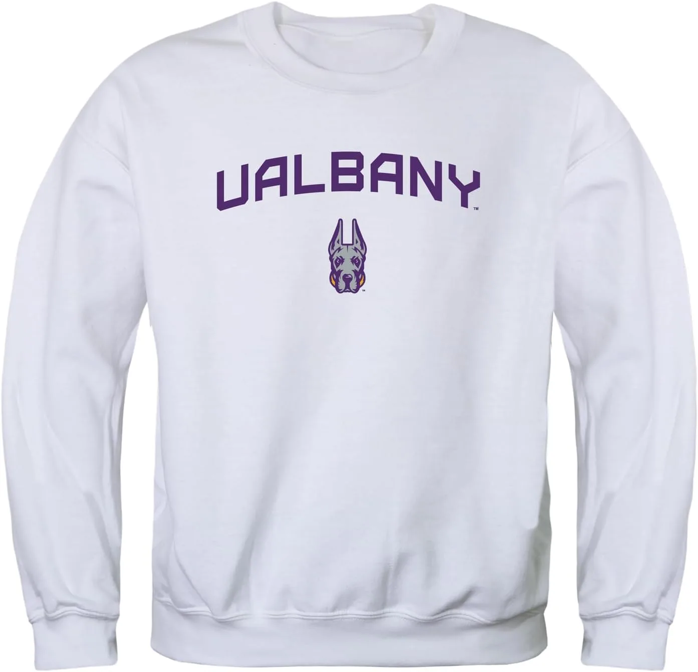 

Толстовка Republic University at Albany Great Danes W Republic