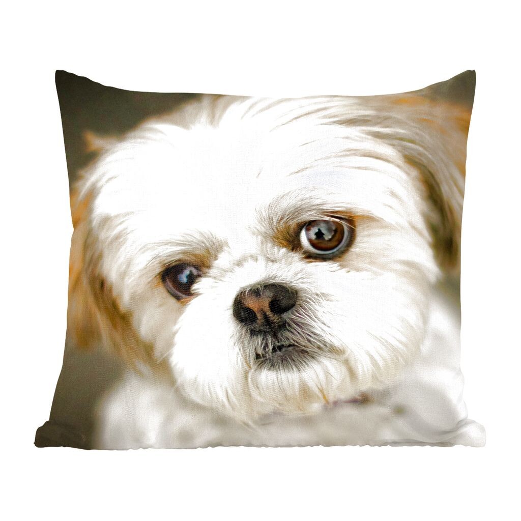 

Декоративная подушка MuchoWow, диванная подушка, декоративная подушка для гостиной, 60 х 60 см, собака Ши-тцу смотрит в камеру по диагонали - чехол на подушку - хлопчатобумажная ткань - декоративные чехлы на подушки