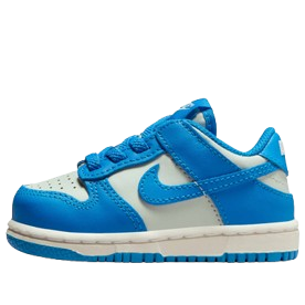 

(TD) Nike Dunk Low 'Light Silver Sail Light Photo Blue'