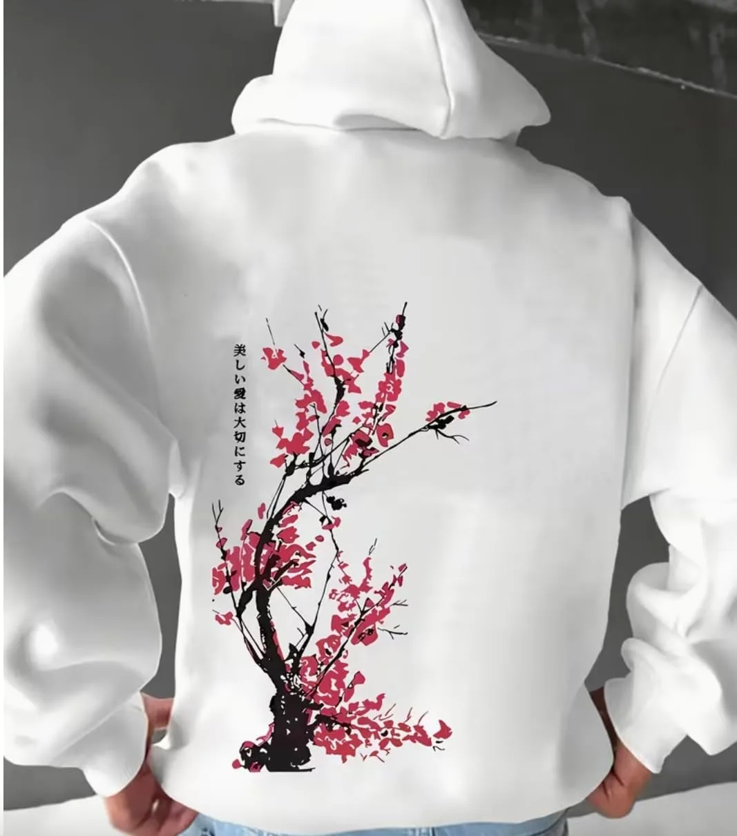 

Мужской худи оверсайз уличный стиль флисовая толстовка длинный рукав Elyora