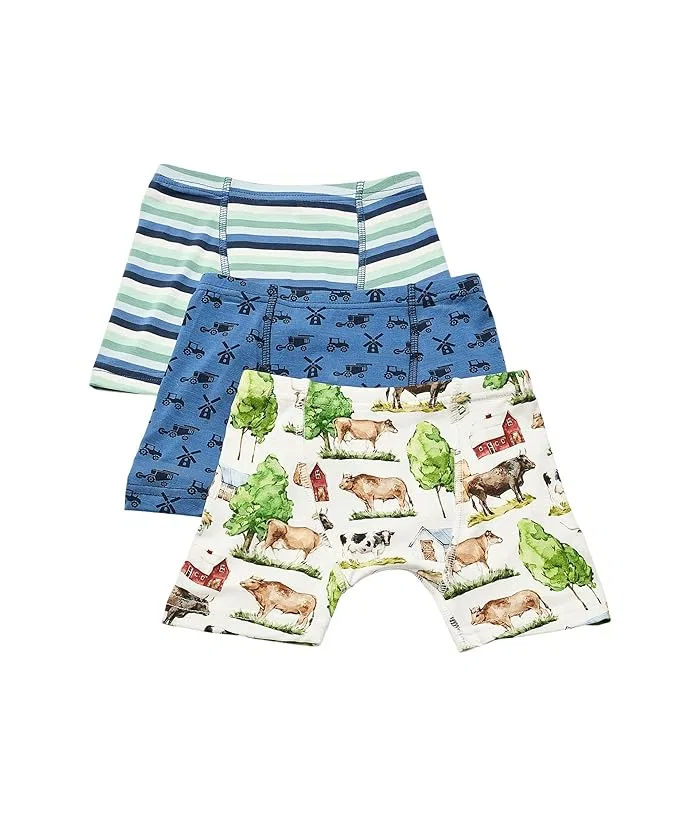 Боксеры набор из 3 Print Boxer Brief Set Kickee Pants Kids, Denim Stripe/Denim/Dove Dino Museum