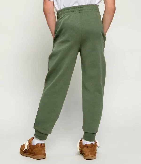 Детские спортивные штаны для мальчиков Regular Fit Polo Ralph Lauren, зеленый — фото 3