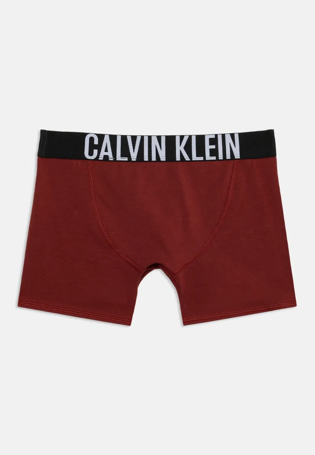 2 шт. - боксерские трусы Calvin Klein Underwear, Fired Brick/Black — фото 2