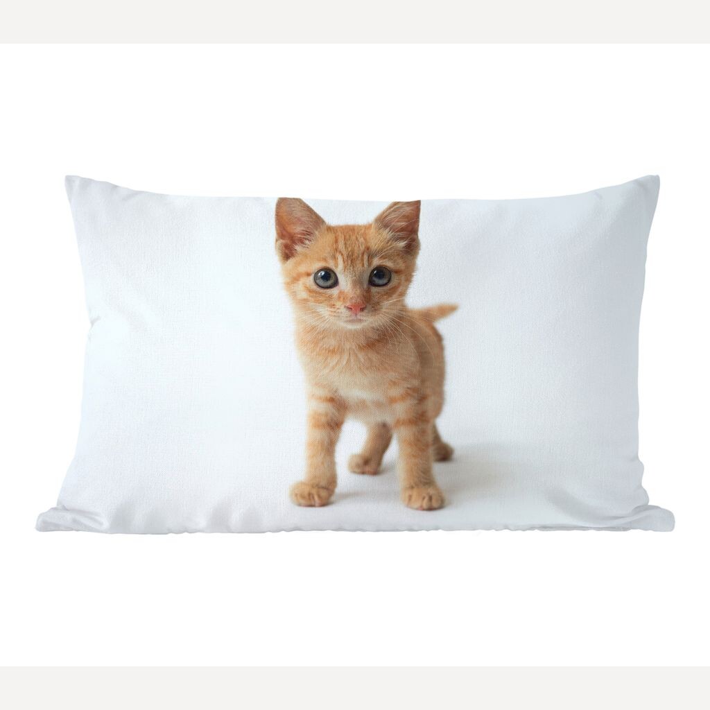 

MuchoWow Cats - Little Red Kittens - 50x30 см - Чехлы для диванных подушек - без наполнителя