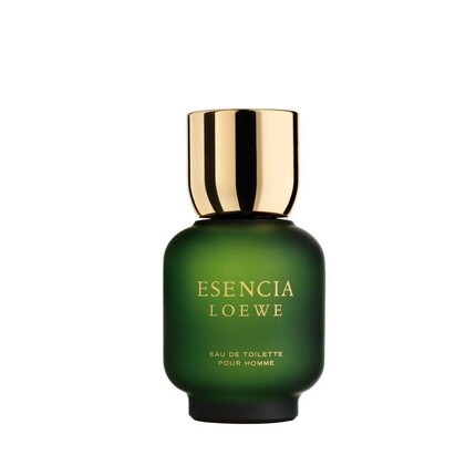 Туалетная вода Loewe Esencia Pour Homme, 100 мл, спрей — фото 3