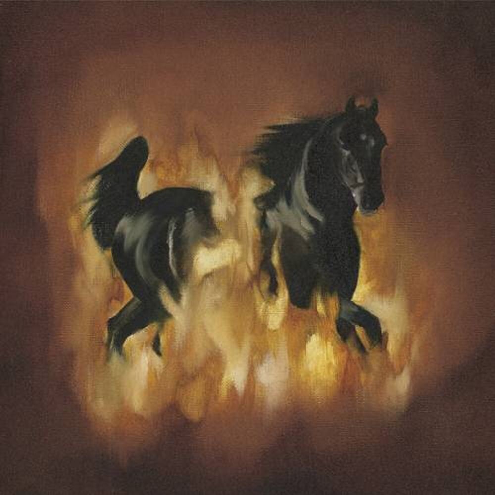 

Диск CD The Besnard Lakes Are The Dark Horse - The Besnard Lakes