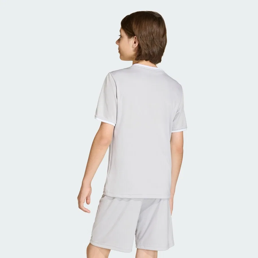 Футболка ADIDAS PERFORMANCE Performance Shirt 'Entrada26' цвета «камень» — фото 4