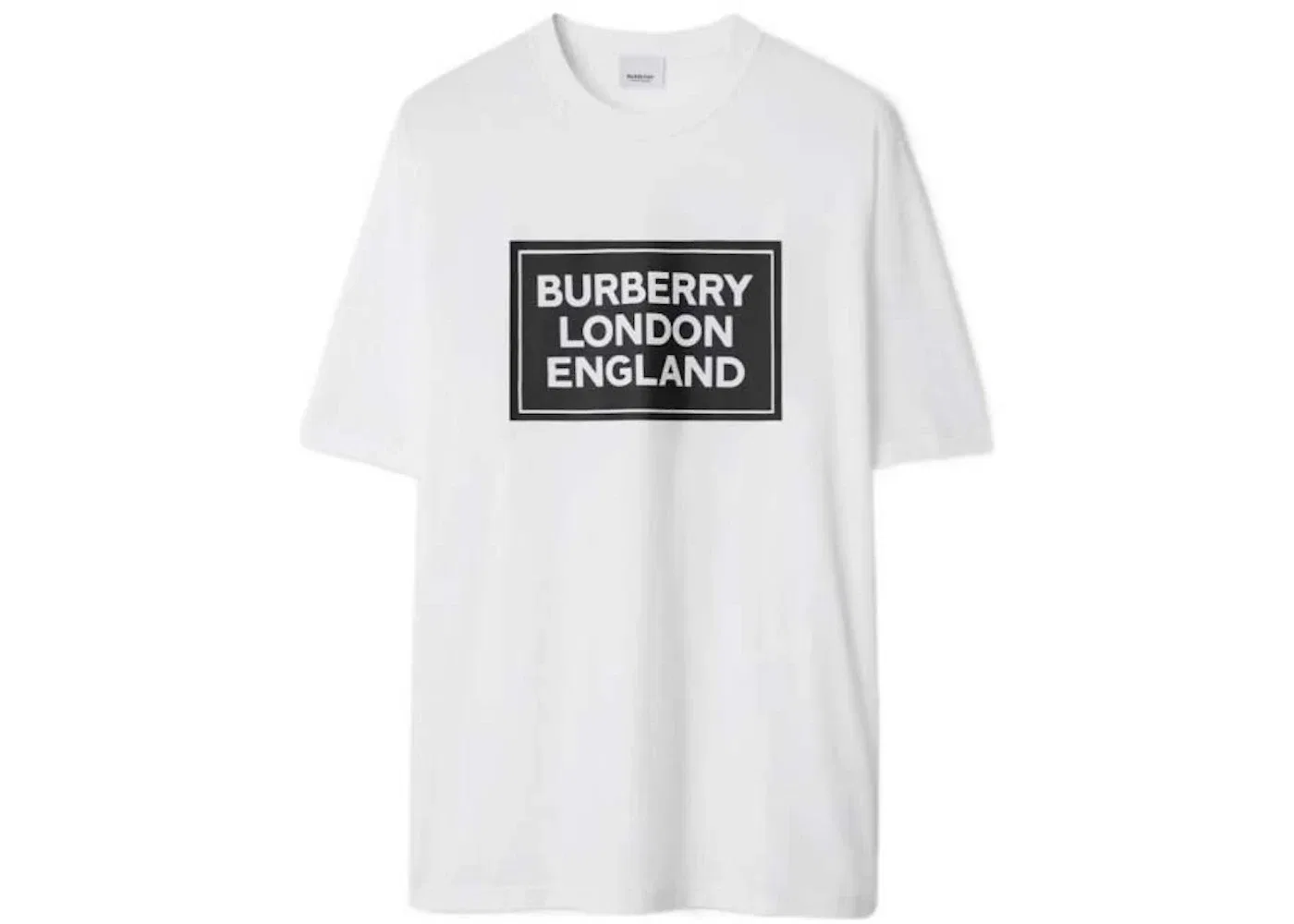 Мужская футболка с принтом Ellison Logo Burberry, White