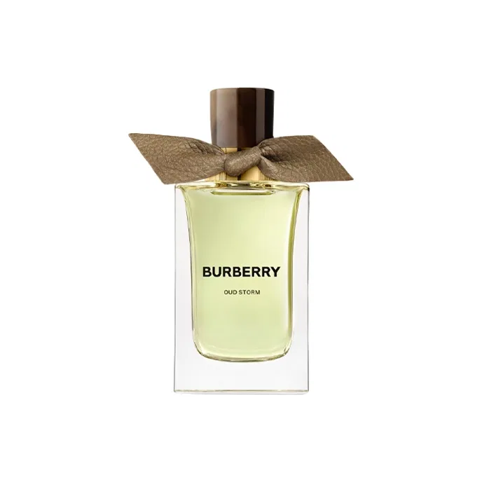 Парфюмерная вода Ebony Storm, 100 мл, Burberry