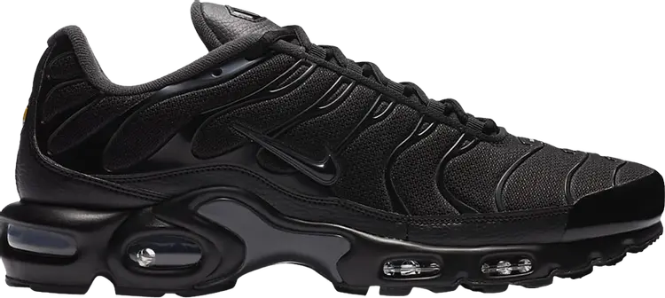 

Кроссовки Nike Air Max Plus 'Black Dark Smoke Grey', черный
