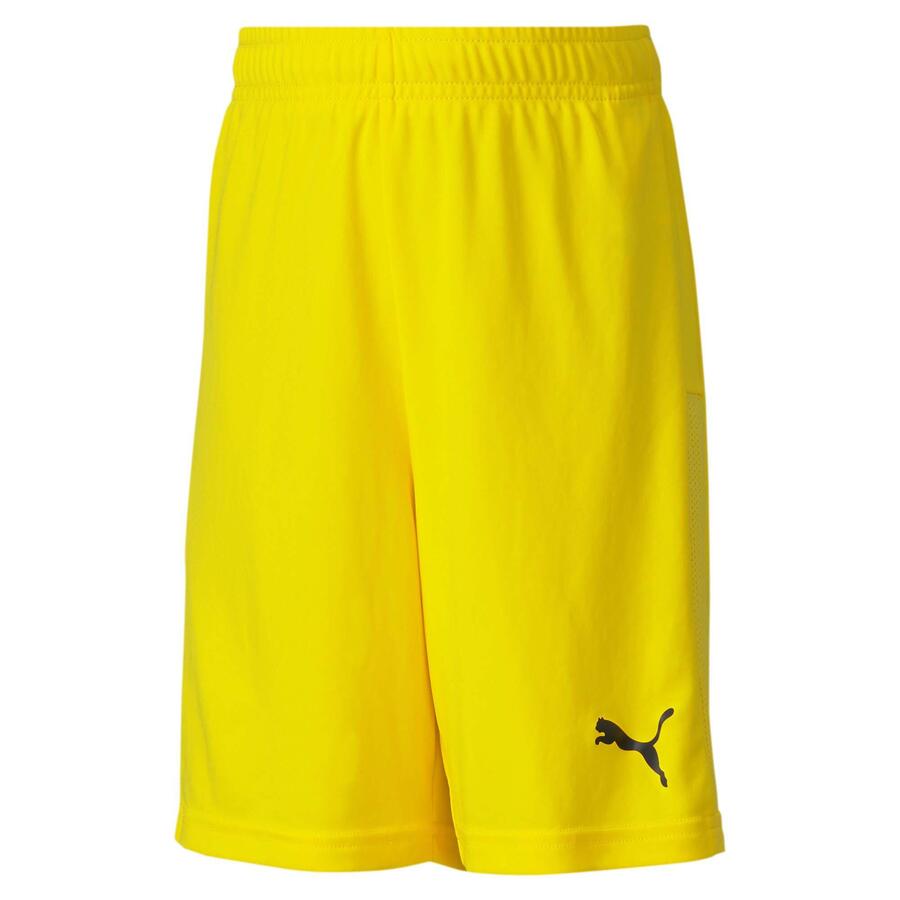 

Детские шорты Puma teamGOAL 23 трикотажные шорты jr 704263