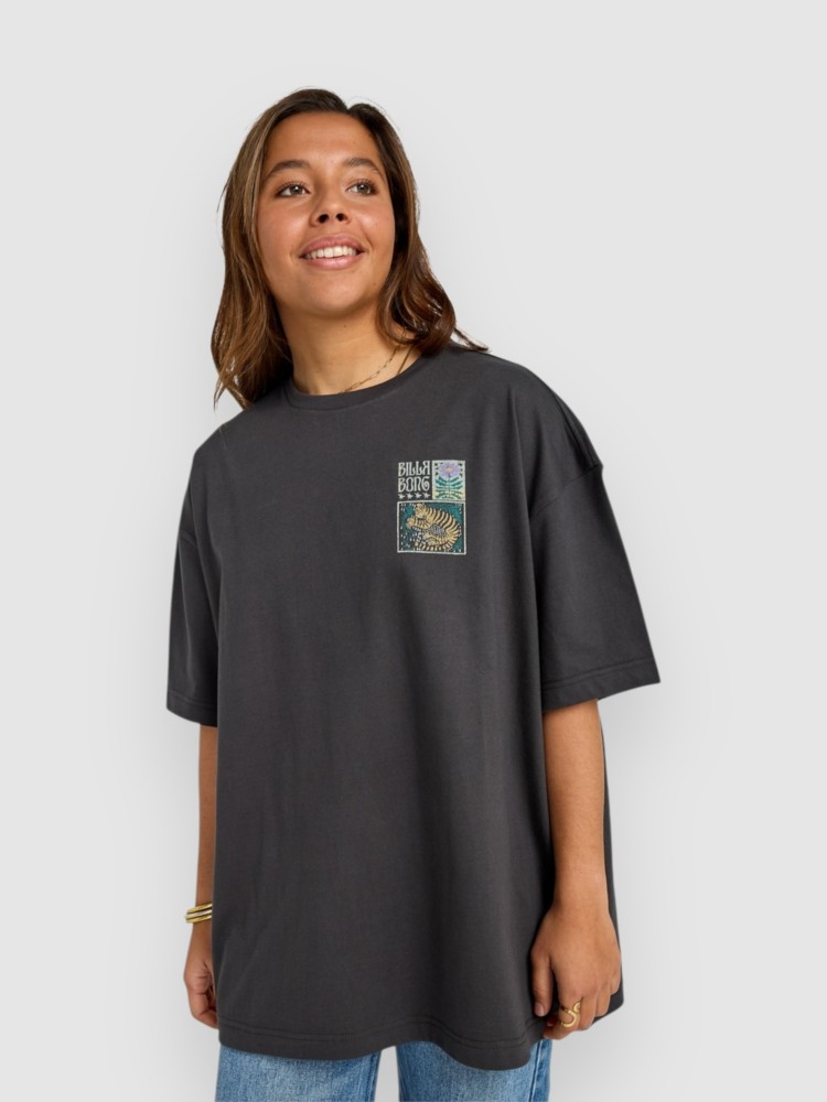 

Футболка Billabong Daydream Away T-Shirt, off black, Черный, Футболка Billabong Daydream Away T-Shirt, off black