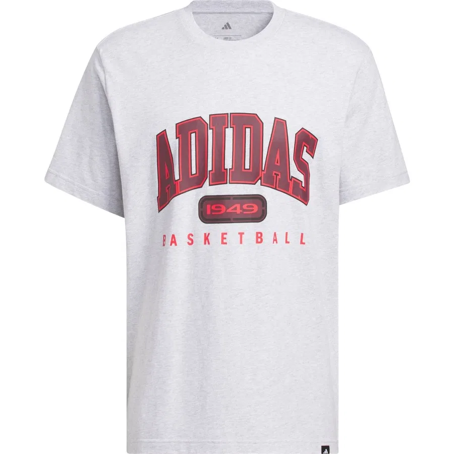 Футболка с принтом Collegiate Graphic adidas, Светло-серый — фото 3