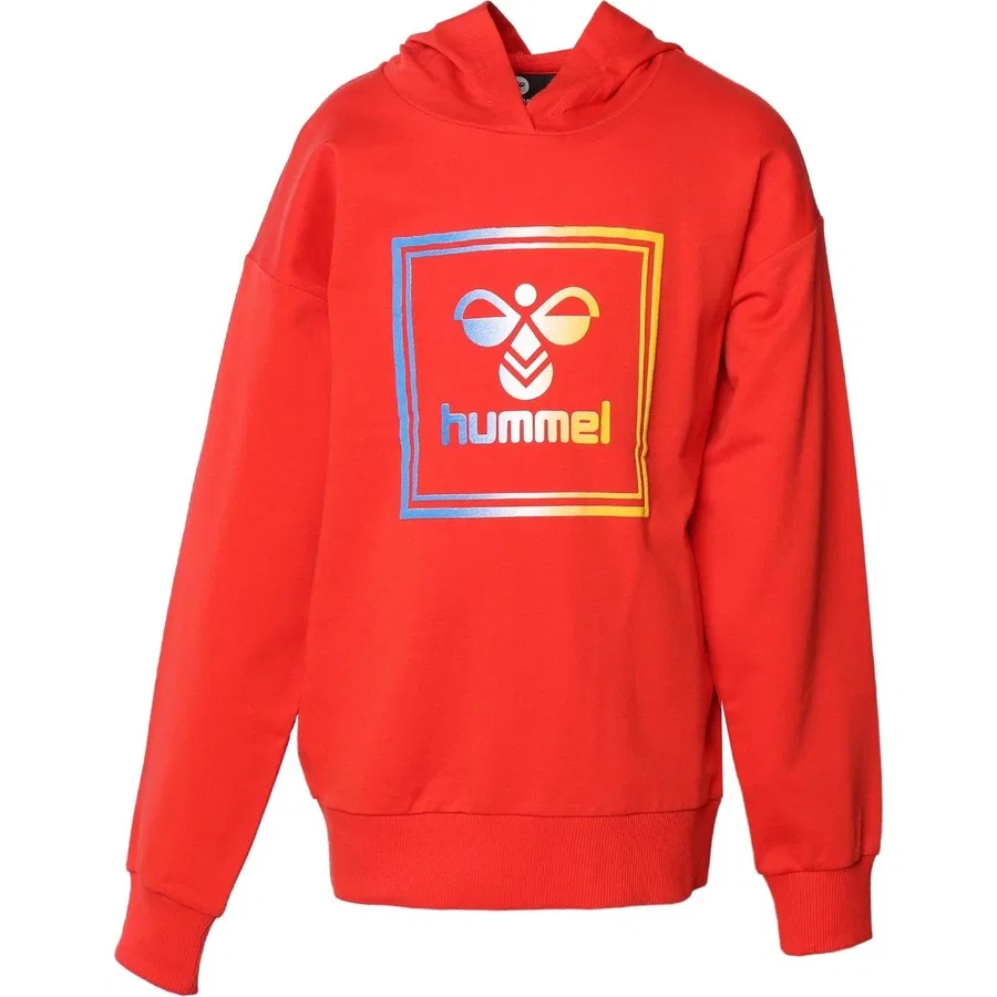 Детский свитшот с капюшоном Leiden Hoodie Hummel, Красный