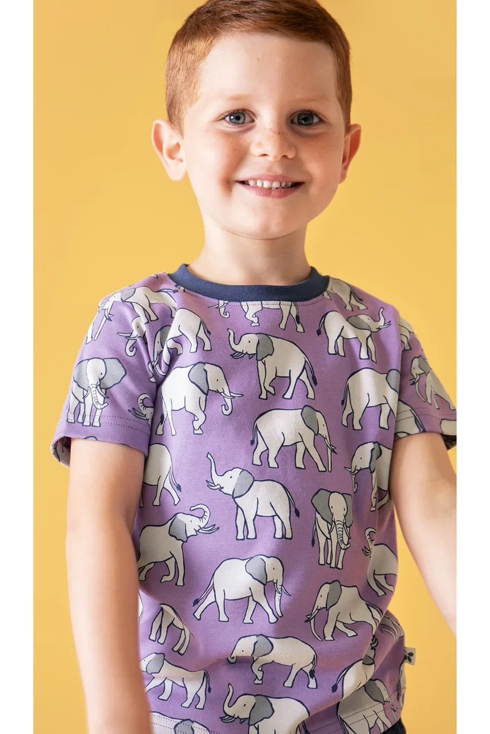 Детская футболка с принтом Lake Frugi, Purple — фото 2