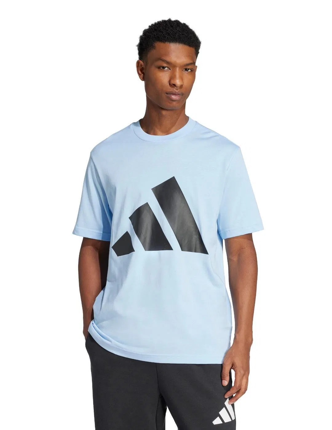 Мужская футболка с принтом Adidas Sj globlu, Blue — фото 2