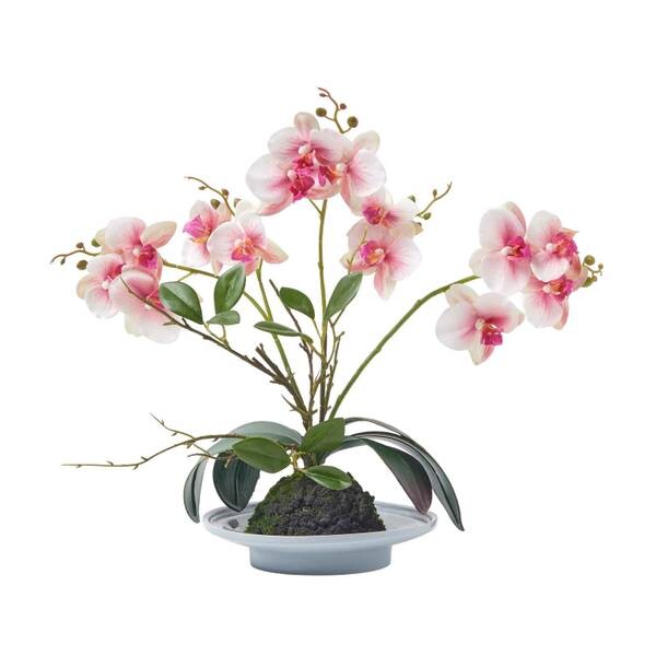 

Декоративное растение Homescapes pink-weiße Phalaenopsis цвет rosa-weiß