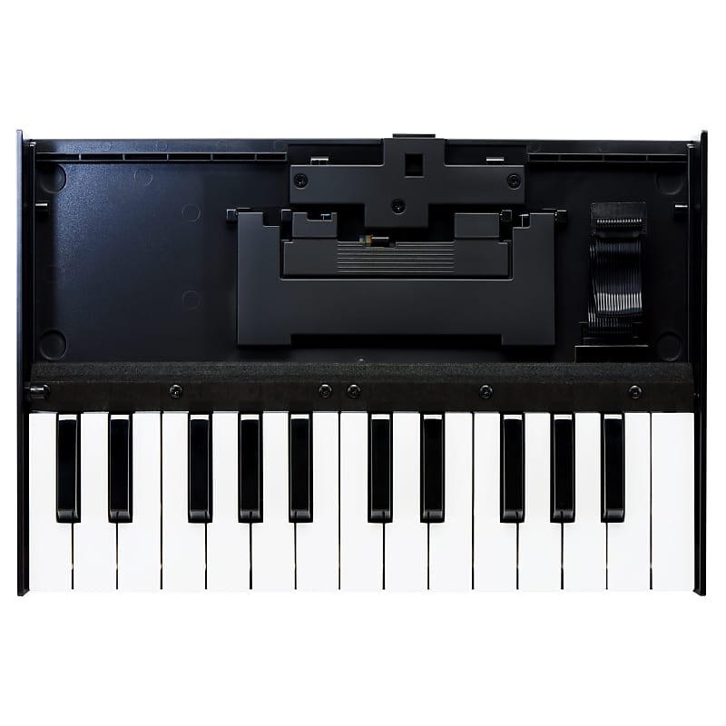 

Портативная клавиатура Roland Boutique K-25m Boutique K-25m Portable Keyboard