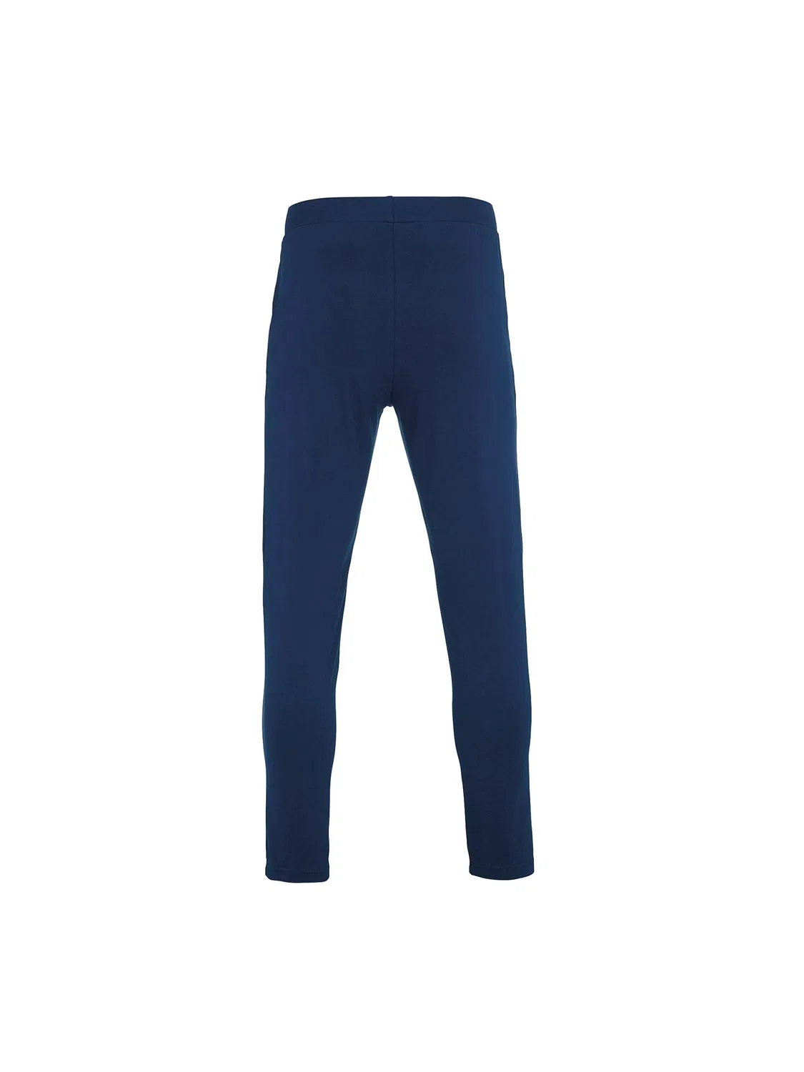Спортивные брюки Errea Regular Workout Pants Cook 3.0 темно-синего цвета — фото 2