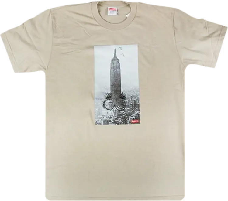 Футболка Supreme Mike Kelley The Empire State Building T-Shirt 'Clay', коричневый — фото 2