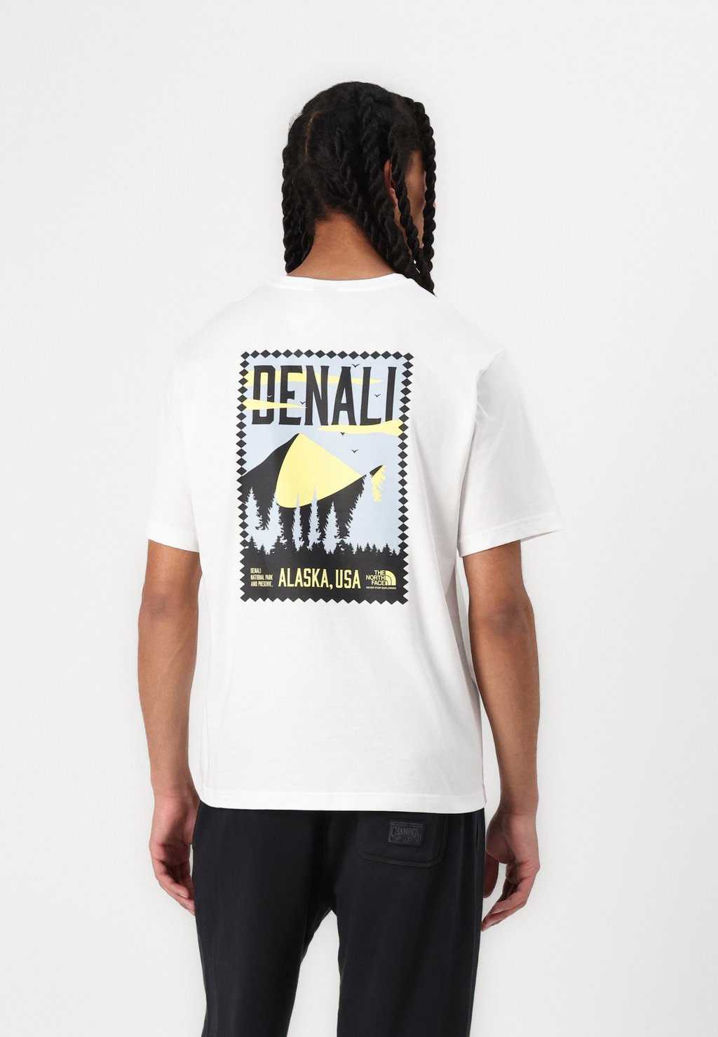 

Футболка с принтом MENS TEE RELAXED VINTAGE DENALI The North Face, белый