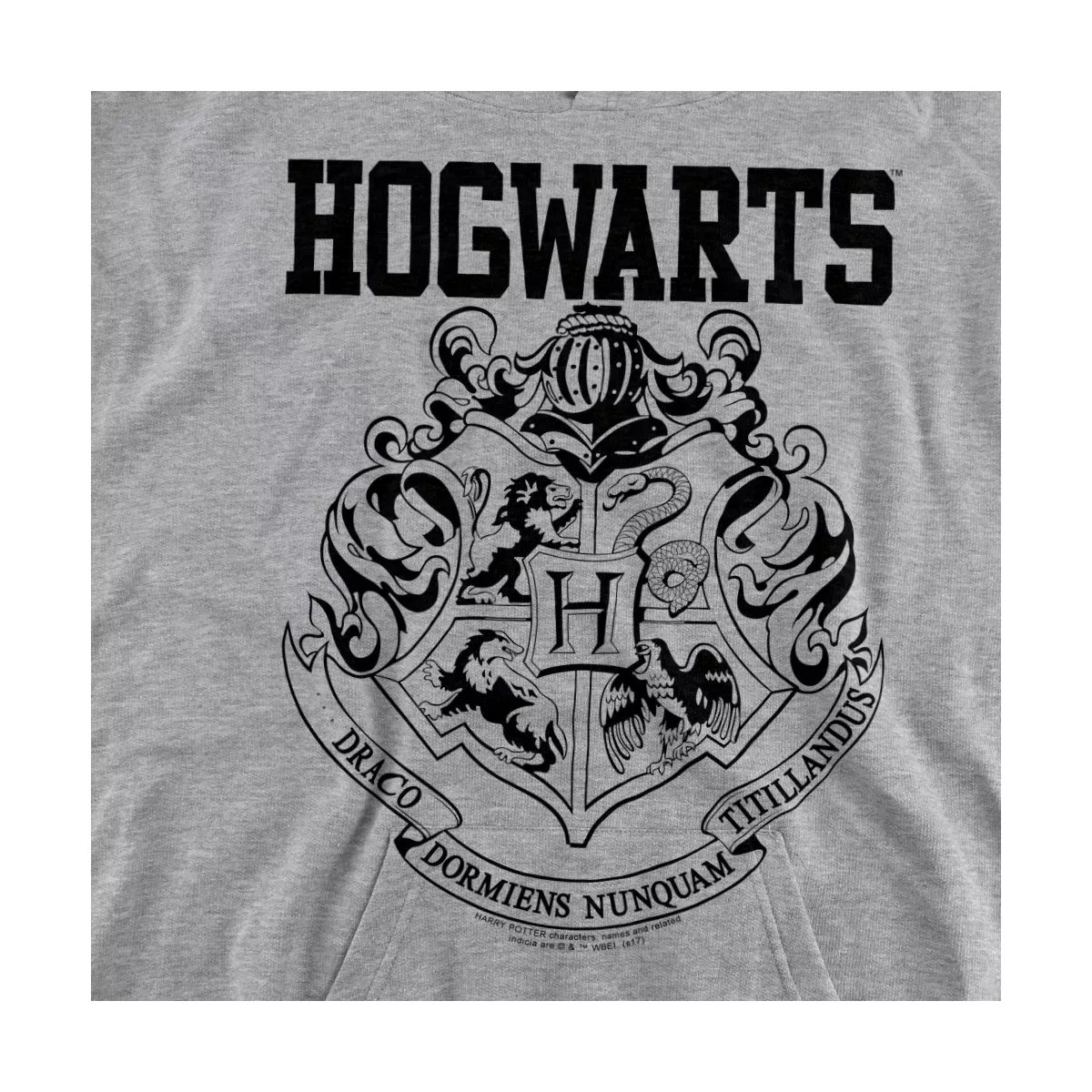 Детское худи с принтом Harry Potter Hogwarts Athletic Hooded Sweatshirt Harry Potter, Athletic Heather — фото 2
