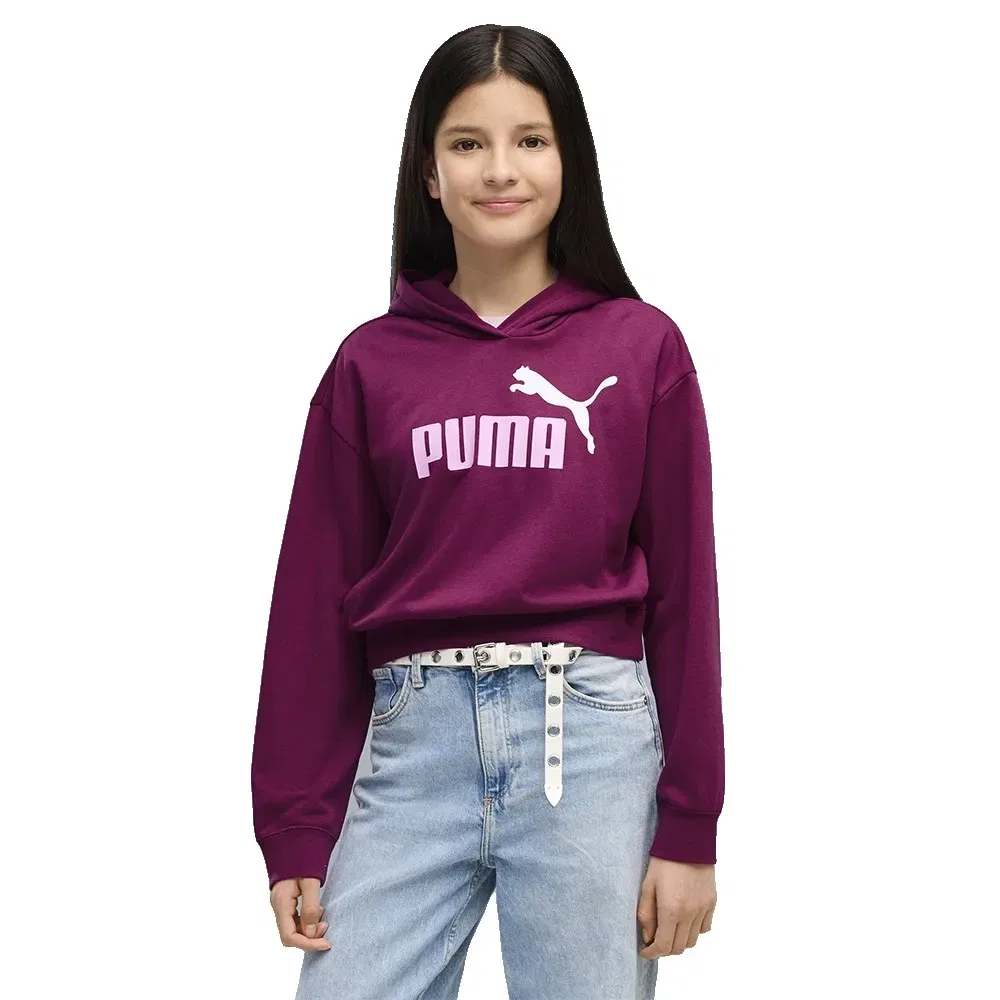 Худи Puma Essential 2 Color Nº1 Logo Short Length TR, фиолетовый