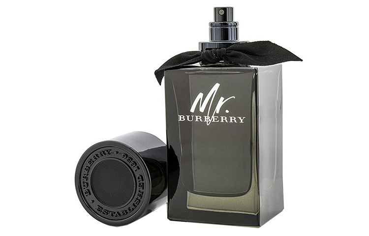 Мужской парфюм Sir, аромат Woody Fougere, туалетная вода, 100 мл Burberry — фото 3
