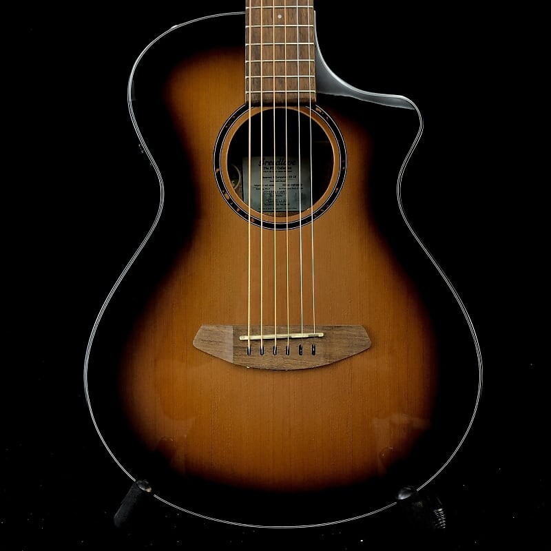 

Breedlove Discovery S Companion Edgeburst CE Cedar
