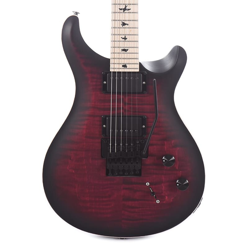 

Электрогитара Paul Reed Smith Dustie Waring CE24 Floyd Guitar - Waring Burst Satin, Белый, Электрогитара Paul Reed Smith Dustie Waring CE24 Floyd Guitar - Waring Burst Satin