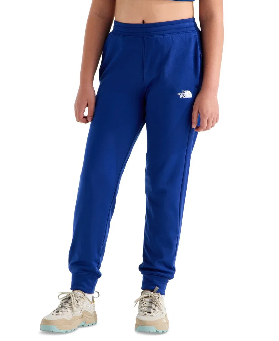Флисовые джоггеры Performance Fleece Joggers The North Face, Bold Blue — фото 3
