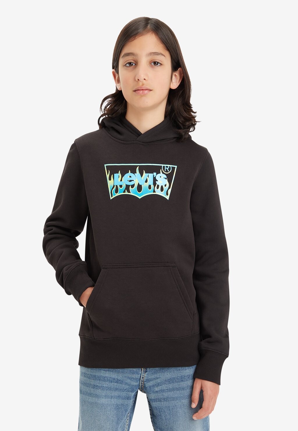 

Толстовка BATWING FILL HOODIE Levi's, цвет meteorite