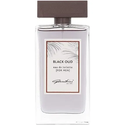 Парфюмерная вода Gandini Black Oud Homme, 100 мл