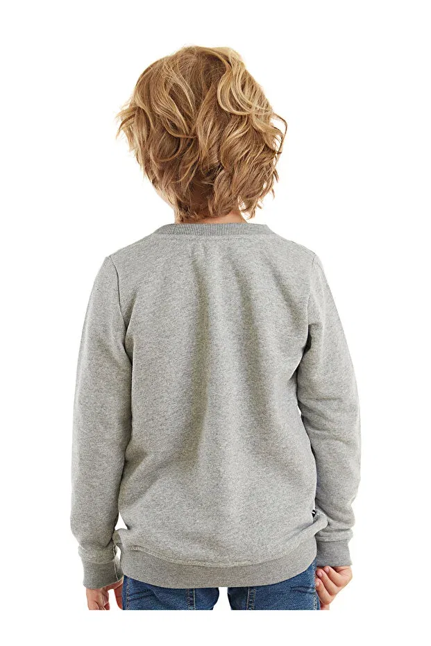 Детские свитшот для мальчиков с длинным рукавом Denokids, Gray — фото 2