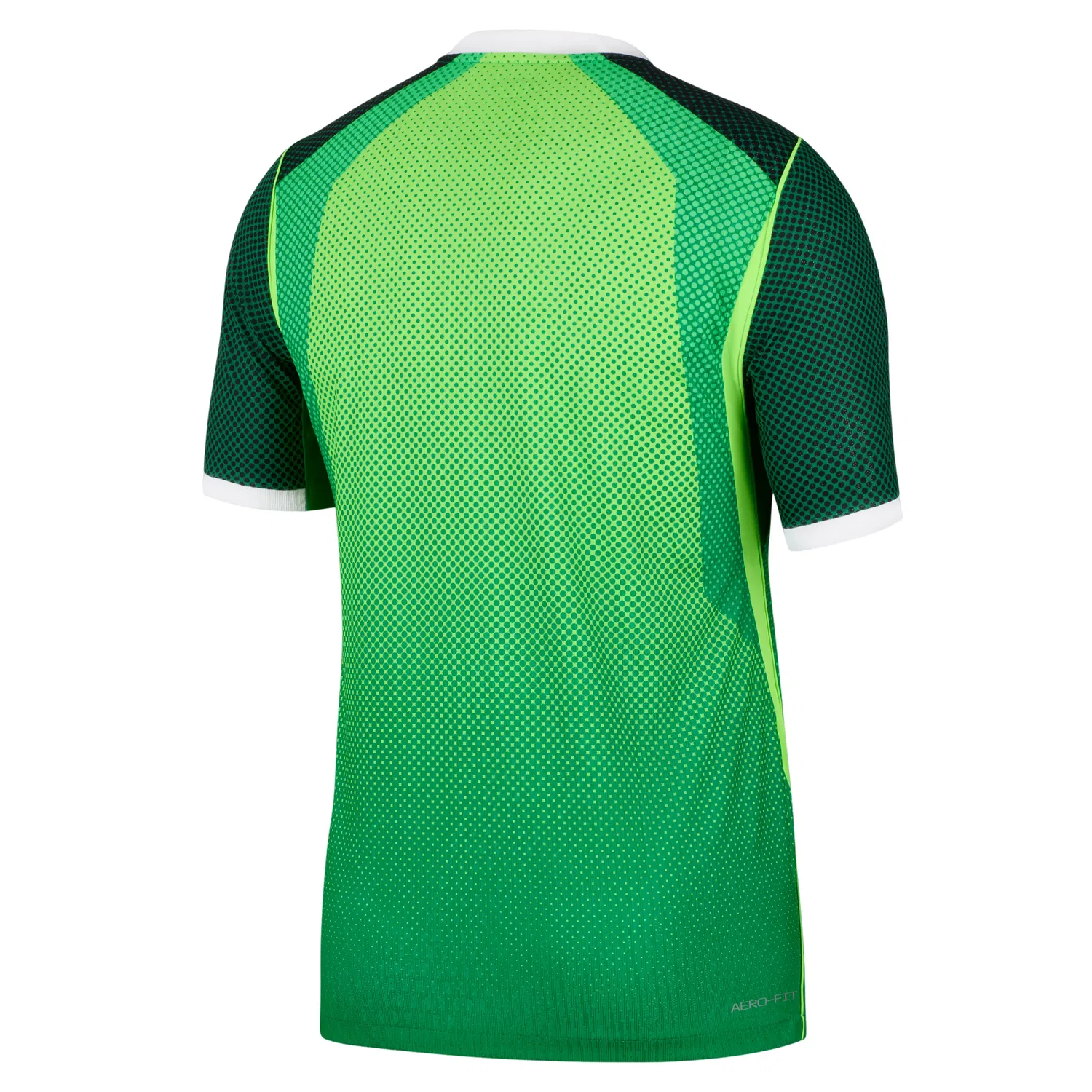 Мужская футболка с коротким рукавом Nike Nigeria 2026 Match Home Aero-FIT Authentic Jersey, зеленый — фото 2