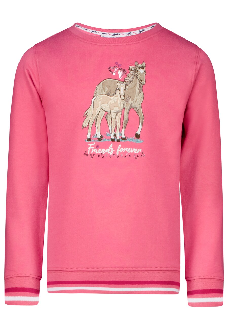 

Худи SALT AND PEPPER Sweatshirt Star Stable, розовый
