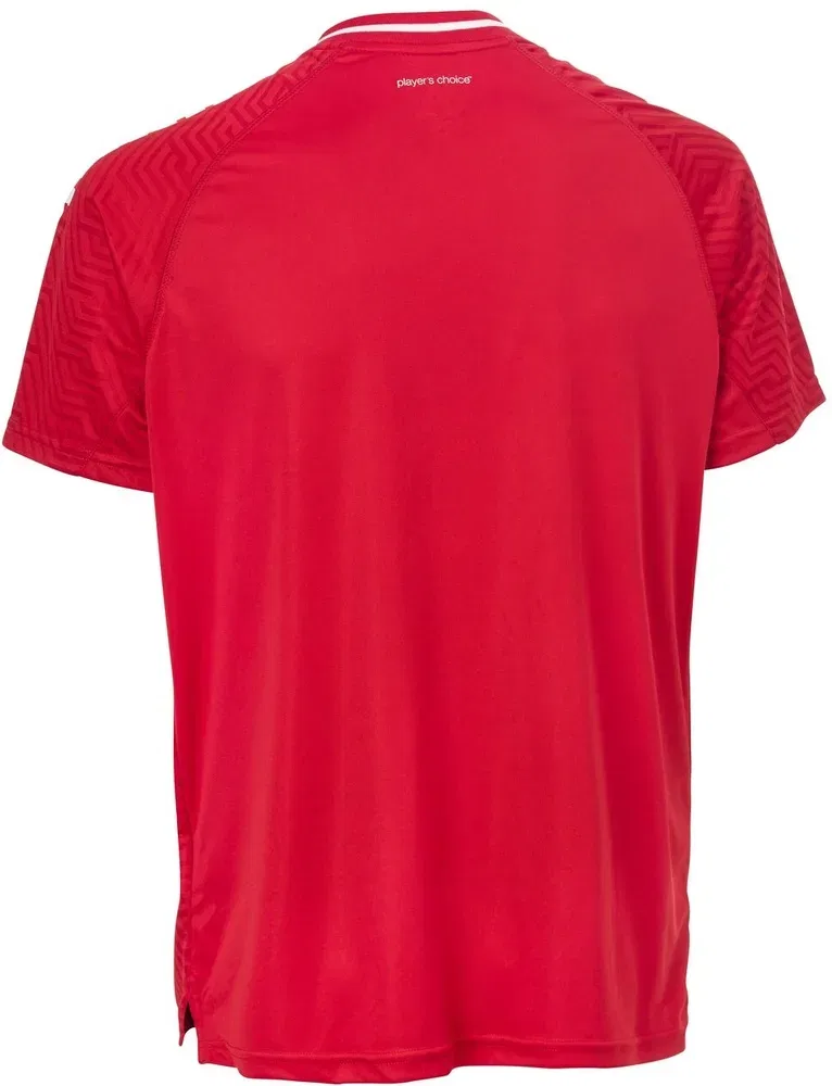 Футболка спортивная с коротким рукавом Trikot Kurzarm Primo V24 Derbystar, красный — фото 2