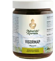 

Паста Vigormap для выздоровления 600 гр Maharishi Ayurveda