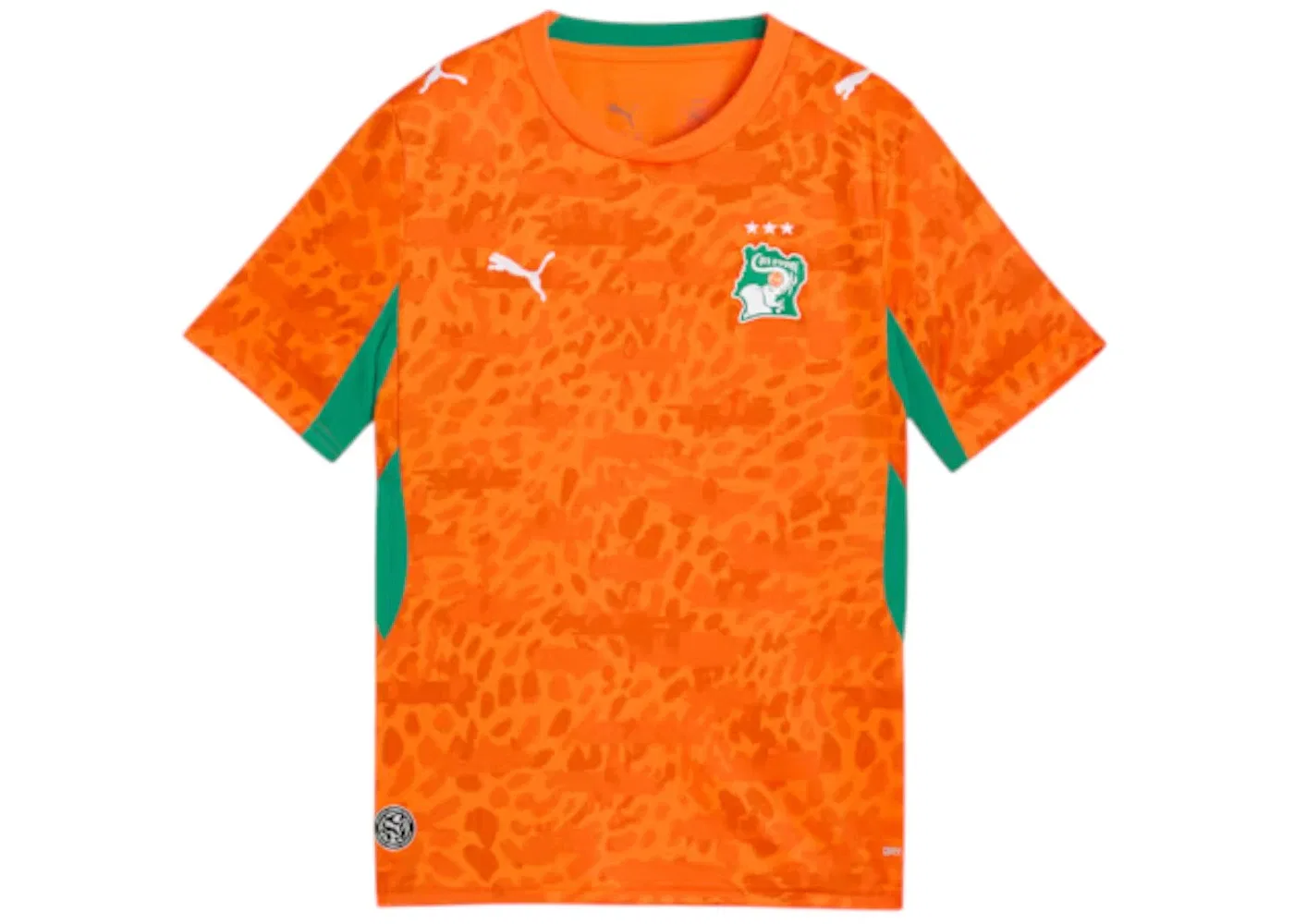 Детская футбольная джерси Puma Cote d'Ivoire Home Big Kids' Jersey, Rickie Orange/Sport Green