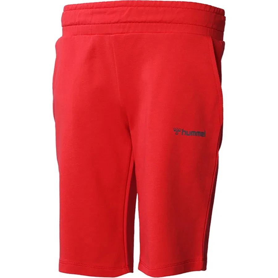 Шорты спортивные с принтом Regular Fit Hummel, Красный