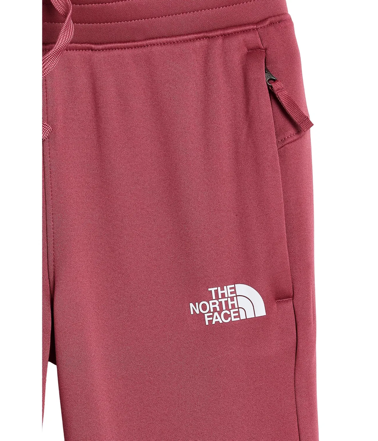 Спортивные брюки TNF Performance Fleece (для маленьких и больших детей) The North Face Kids, Fermented Clay — фото 3