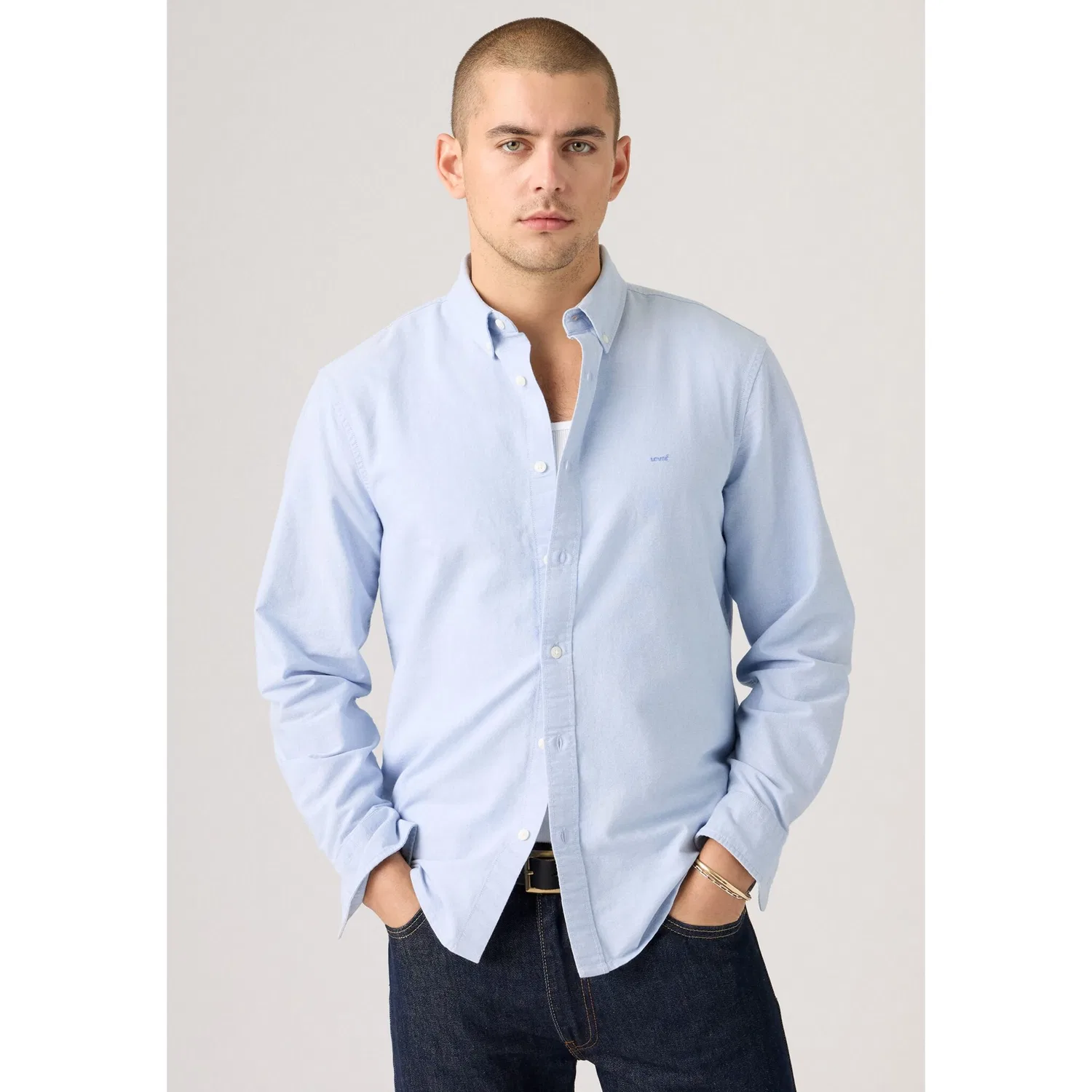 Мужская рубашка с длинным рукавом AUTHENTIC BUTTON DOWN Levi's, Allure — фото 2