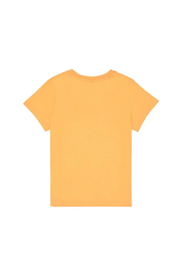 Детская футболка для мальчиков хлопковая U.S. Polo Assn., Melon — фото 2